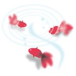 �͂��̋G��